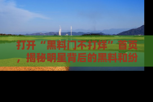 打开“黑料门不打烊”首页，揭秘明星背后的黑料和纷争真相！