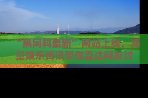 “黑网料最新”网站上线,海量娱乐资讯带你直达网友讨论的中心!