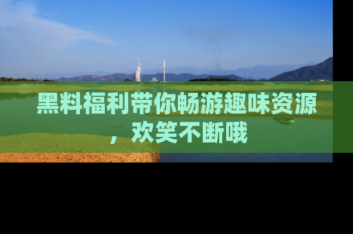 黑料福利带你畅游趣味资源，欢笑不断哦