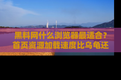 黑料网什么浏览器最适合？首页资源加载速度比乌龟还慢的体验真心吐槽！