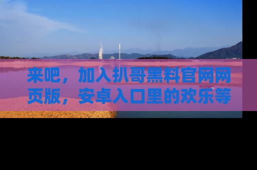 来吧，加入扒哥黑料官网网页版，安卓入口里的欢乐等着你！