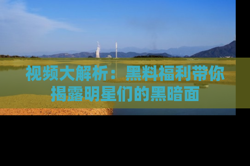 视频大解析：黑料福利带你揭露明星们的黑暗面
