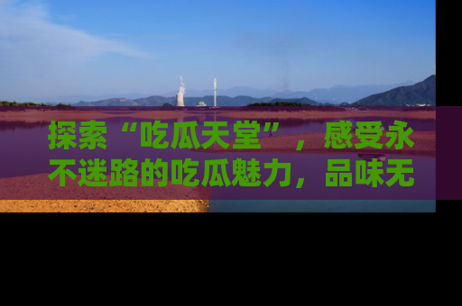 探索“吃瓜天堂”，感受永不迷路的吃瓜魅力，品味无尽的美食！