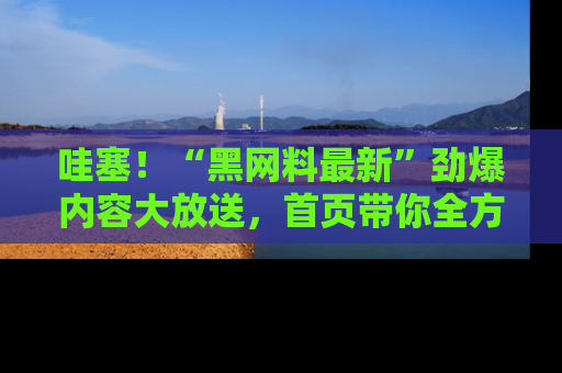 哇塞！“黑网料最新”劲爆内容大放送，首页带你全方位了解哦，小可爱们