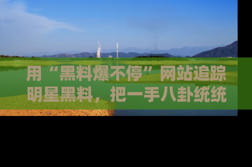 用“黑料爆不停”网站追踪明星黑料,把一手八卦统统收进你的后宫中!