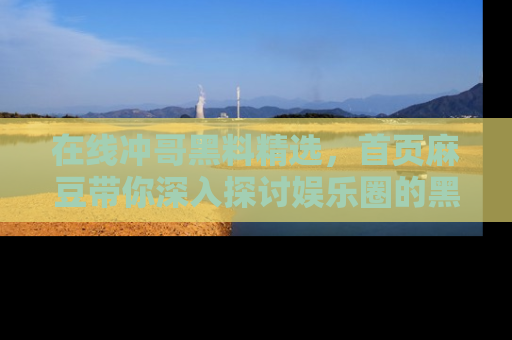 在线冲哥黑料精选，首页麻豆带你深入探讨娱乐圈的黑暗面