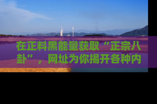 在正料黑能量获取“正宗八卦”,网址为你揭开各种内幕故事!