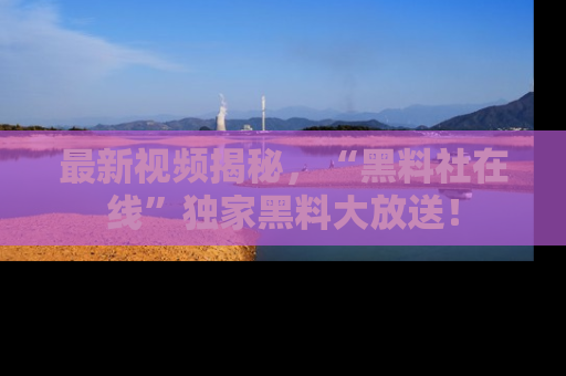 最新视频揭秘,“黑料社在线”独家黑料大放送!